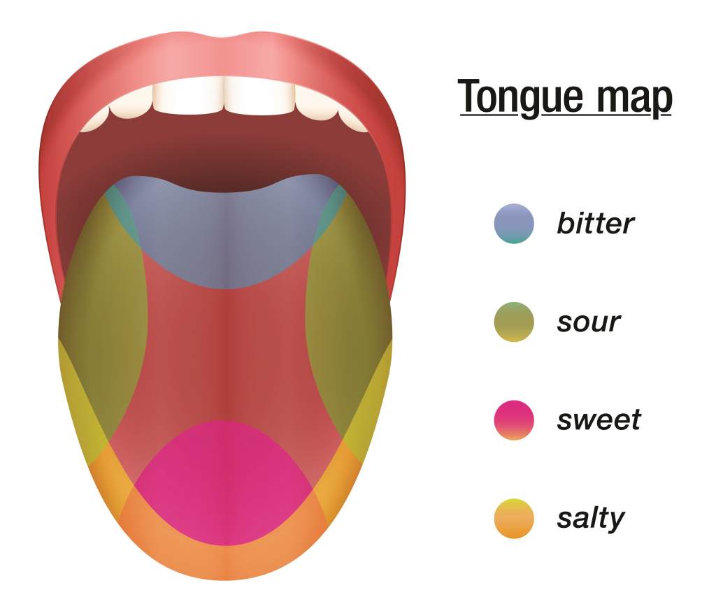 Tongue Map Reputation Today   Tongue Map 